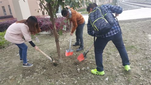 QQ图片20160323113538~1