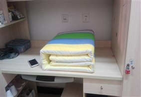 IMG_256