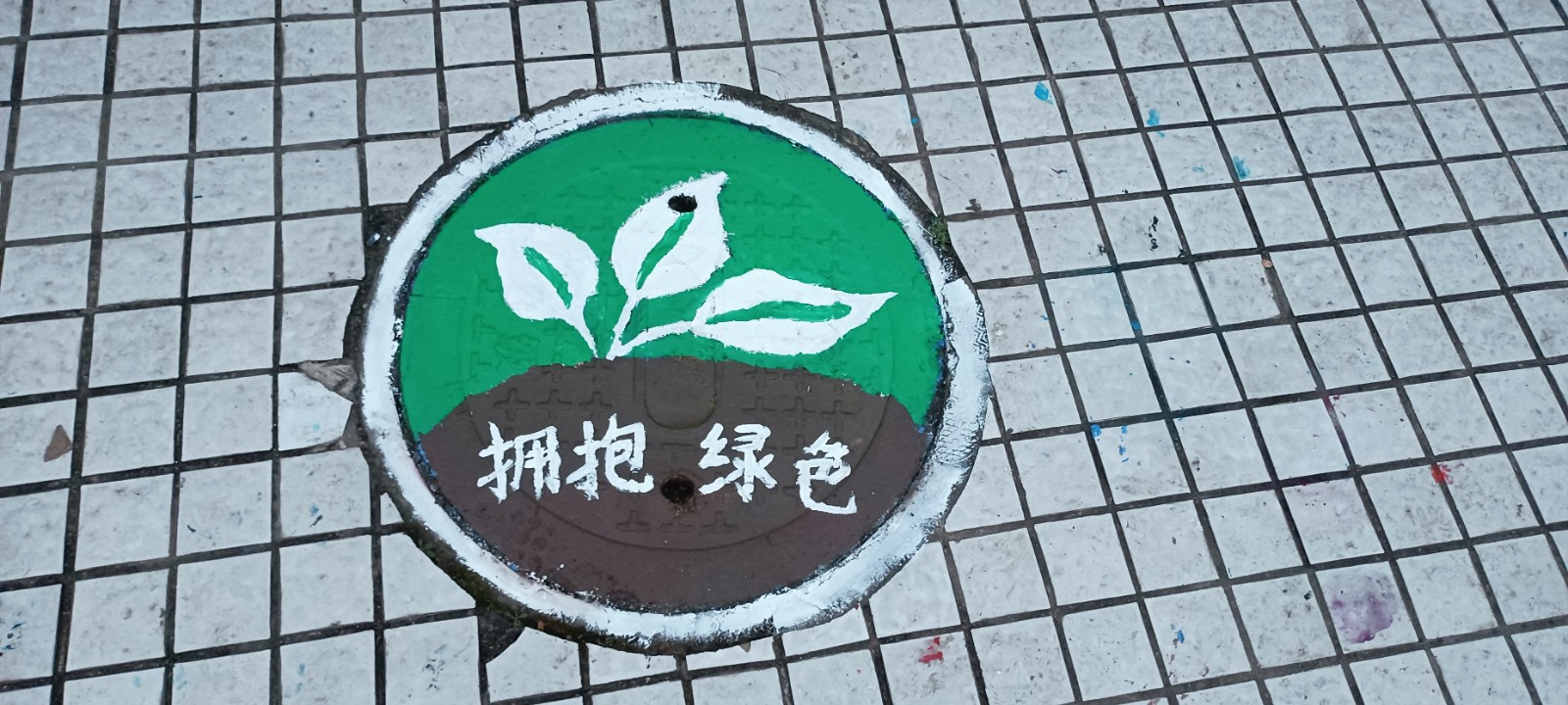 拥抱绿色 (2).jpg