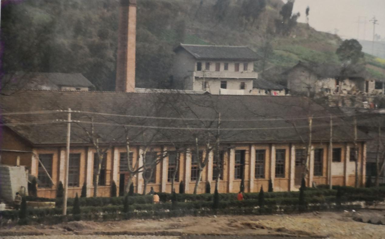 图片21.jpg 图片21.jpg