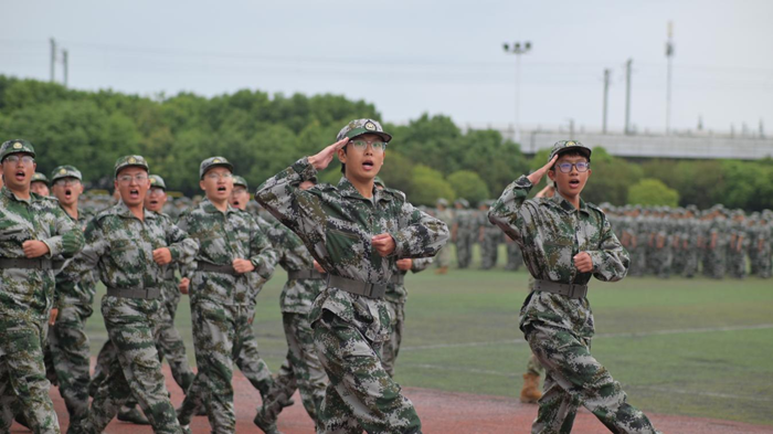 1_700x393.png 1_700x393.png